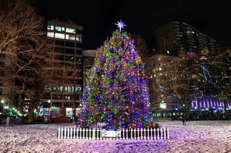 Gallery: Boston’s official Christmas tree arrives from Nova Scotia